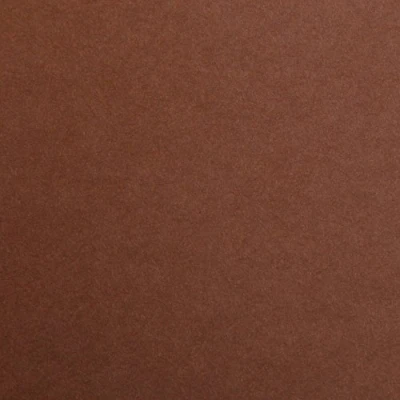 Obrázek Clairefontaine 97361C balení (s 25 listy kreslícího papíru Maya, DIN A4, 21 x 29,7 cm, 120 g, hladký, ideální pro suchou techniku a rámování), tmavě hnědá