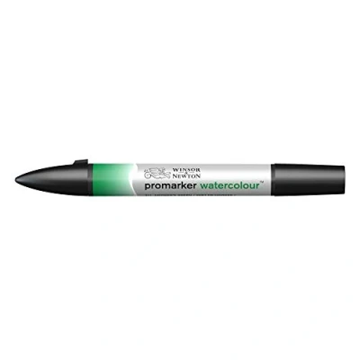 Obrázek Winsor &amp; Newton akvarelové zvýrazňovače 0201311 2 hroty, štětec a jemný hrot, stálý na světle, vysoce pigmentované barvy pro kaligrafii, kresby Hooker&#039;s zelená
