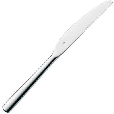 Obrázek WMF Boston nůž menu mono 22,6 cm, z jednoho kusu, nerezová ocel Cromargan, leštěná, lesklá, vhodný do myčky