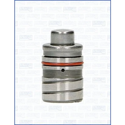 Obrázek AJUSA 85003600 ventil palička