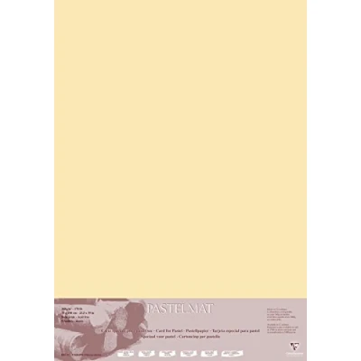 Obrázek Clairefontaine Balení 296023C (s 5 kreslícími archy pastelový mat, 70 x 100 cm, 360 g, ideální pro suché techniky a pastely) kukuřičná žlutá