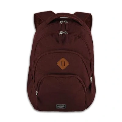 Obrázek Travelite batoh, příruční zavazadlo s přihrádkou na notebook, 15,6“, série Basics Daypack Melange: módní batoh se vzhledem melanž, 096308, 45 cm, 22 litrů, Bordeaux (zelená)