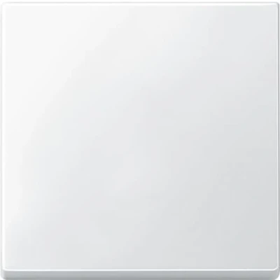 Obrázek Schneider Electric Merten 433119 kolébka pro spínač, polární bílá, systém M, 1x