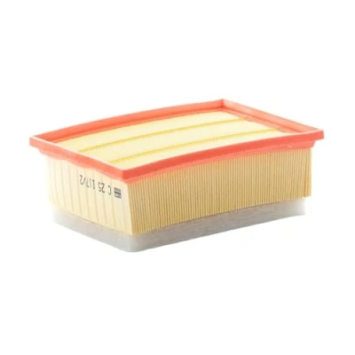 Obrázek MANN FILTER C 25 117/2 vzduchový filtr pro osobní automobily