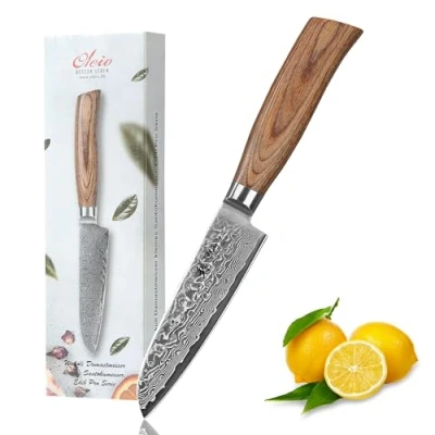 Obrázek Wakoli Malý nůž EDIB Pro Santoku s 11cm čepelí vyrobený z 67 vrstev pravé damaškové oceli rukojetí Pakka dřeva I damaškový nůž, kuchyňský a profesionální kuchařský