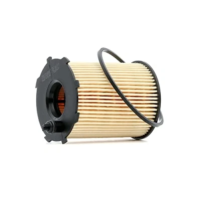 Obrázek Filtron Olejový filtr, OE667/1