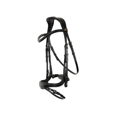Obrázek BR Bridle Longridge