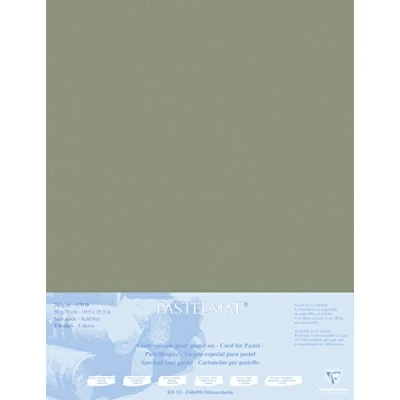 Obrázek Clairefontaine Balení 496011C (s 5 archy pastelátu kašírované na kartonu 1800 µm, 50 x 70 cm, ideální pro suché techniky a pastely) hnědý
