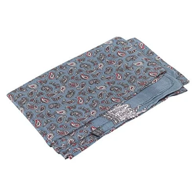 Obrázek WANYING Ušlechtilá hedvábná šála pro pány 100% hedvábí 11 momme pánská oboustranná na jaro, léto, podzim, casual business 155 x 26 cm, A Paisley šedá
