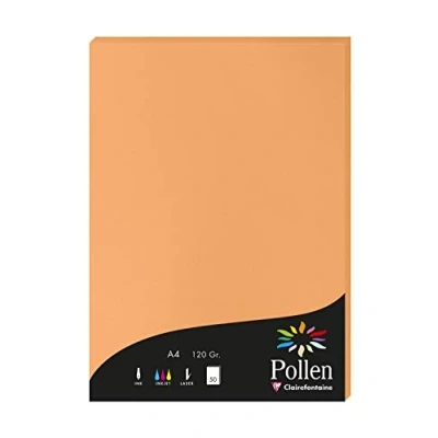 Obrázek Clairefontaine 4208C Packung mit 50 Karten Pollen 120g, DIN A4, 21 x 29,7cm, Clementine