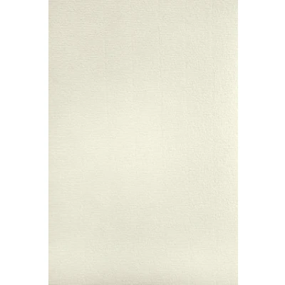 Obrázek Netuno 50x slonovinová papír pro kutily žebrovaný s vodoznakem DIN A4 297 x 210 mm 120 g Aster Laid Ivory Dopisní Efektový jemným žebrováním na vybavení Designový