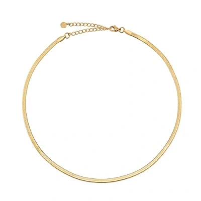 Obrázek GD GOOD.designs Dámský hadí řetízek plochý na krk bez přívěsku ve stříbrné barvě zlato růžové I ušlechtilá ocel Choker 3 mm široký vodotěsný, Nerezová ocel, Nevztahuje se