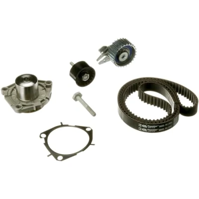 Obrázek GATES PowerGrip Kit + vodní čerpadlo KP15646XS