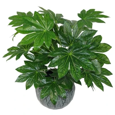 Obrázek Leaf Künstliche japanische Aralia Pflanze, 60 cm, Schwarz