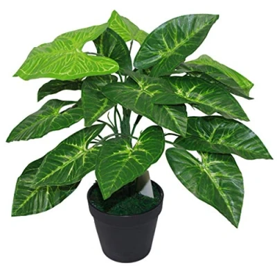 Obrázek Leaf 45 cm umělé Taro rostlina v černé plast květináč