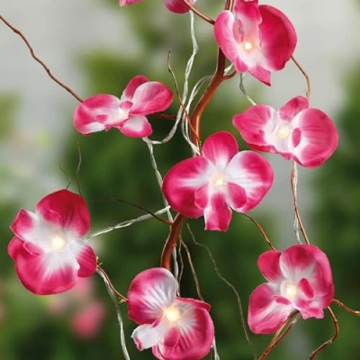 Obrázek hellum LED světelný řetěz uvnitř s růžovými orchidejemi, 10 teplá bílá délkou 1,35 m, baterií, květiny, dekorace 300178