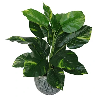 Obrázek Leaf Design UK Kunstpflanze Teufels Efeu Scindapsus Aureus, Kunststoff, 60 cm, Schwarz