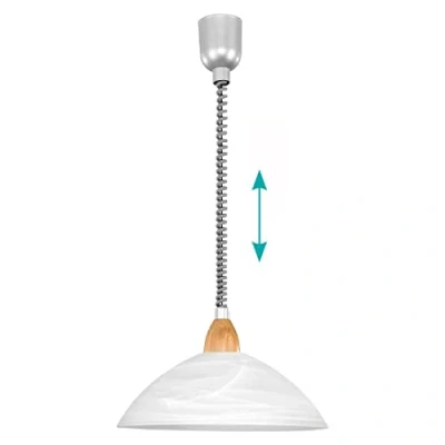 Obrázek EGLO Závěsné svítidlo Lord 2, závěsná lampa s 1 žárovkou výškově nastavitelná, klasická, do obývacího pokoje ze skla alabastru v bílé, plast ve stříbrné barvě a dřevo,