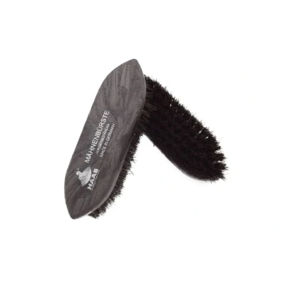 Obrázek Haas Mane Brush small 3cm, Koko
