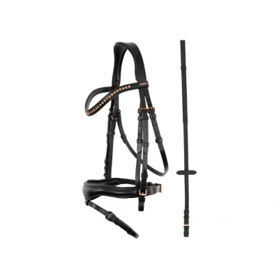 Obrázek Premiere bridle Cholet